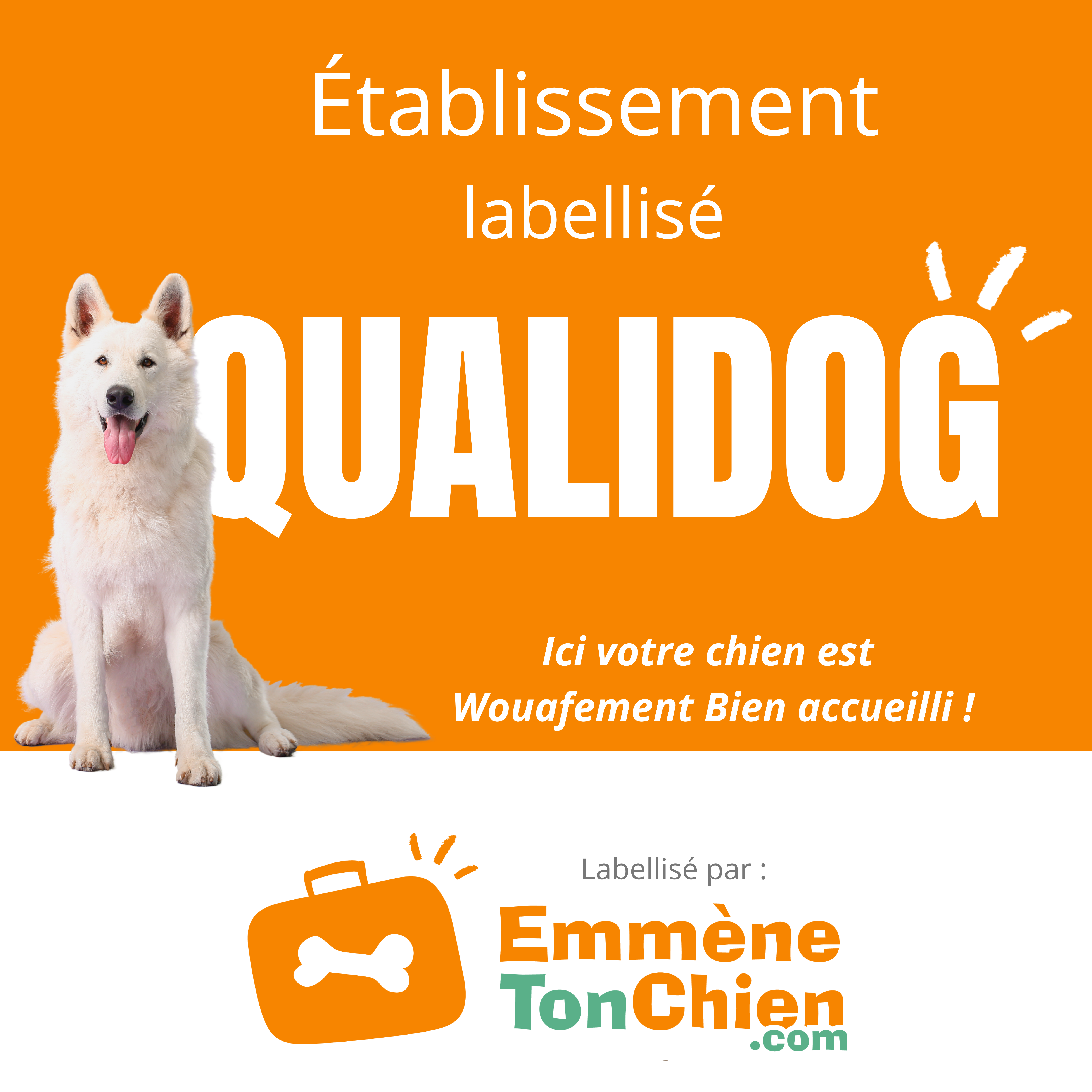 Label Qualidog 4 truffes – Hébergement de camping labellisé pour l’accueil des chiens Les Landes