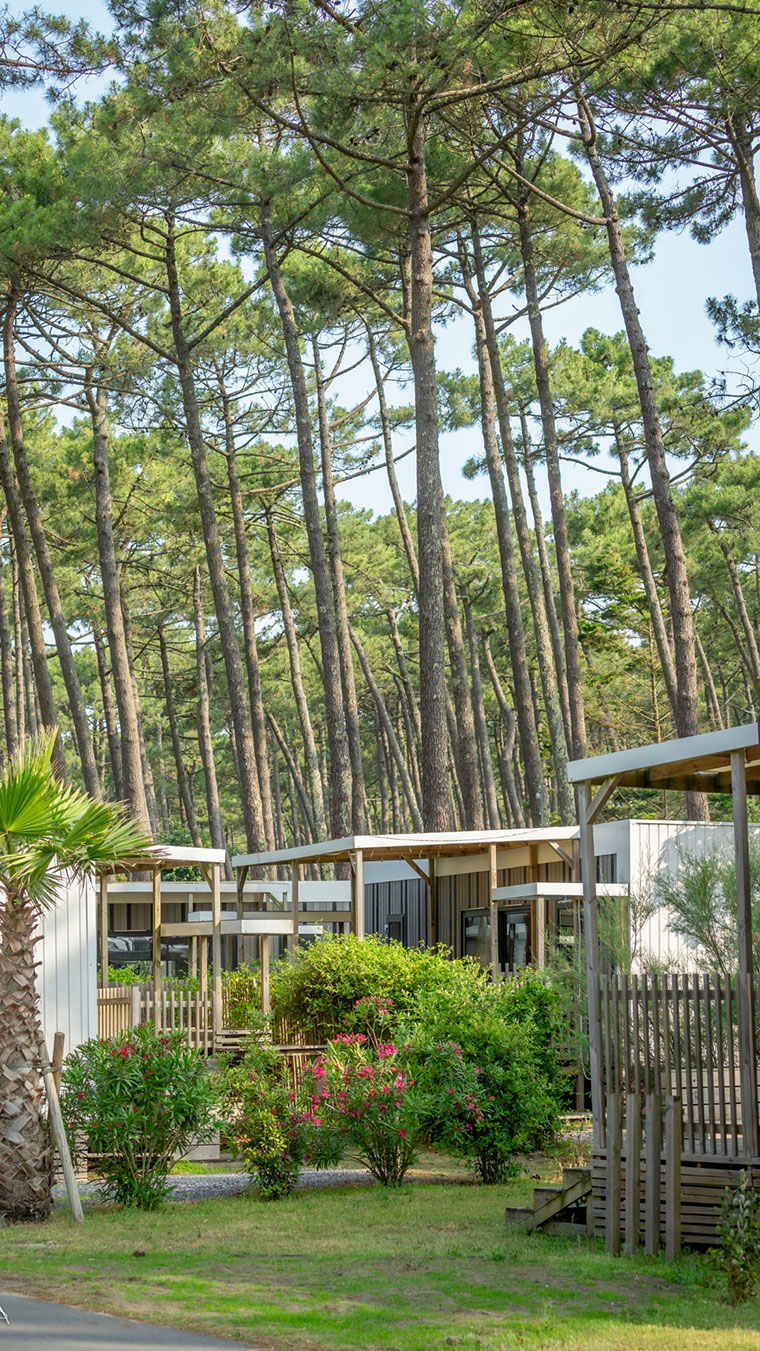 Camping Le Vieux Port