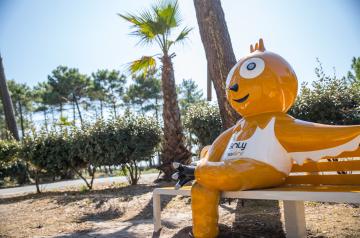Banc Soly au camping 5 étoiles le Vieux Port dans les Landes 