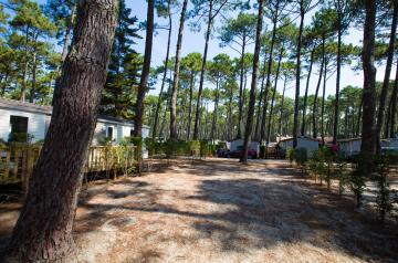 Vue panoramique des emplacements spacieux du camping Le Vieux Port à Messanges, situés au cœur d'une végétation luxuriante avec emplacement ombragé, accès facile aux sanitaires modernes, proximité de la plage de sable fin et des installations de loisirs telles que piscine chauffée et aire de jeux, parfait pour les familles et amoureux de la nature.
