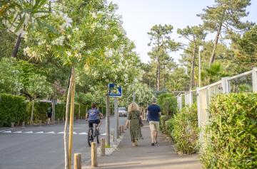 Personnes marchant le long du parc aquatique du camping Le Vieux Port dans les Landes, encadrée par une végétation luxuriante et soigneusement entretenue, comprenant palmiers et pins, dans un cadre naturel paisible en bord de mer, avec vue sur les bassins, toboggans et espaces aquatiques animés.
