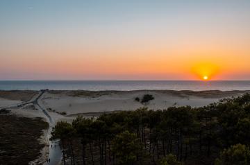 Coucher de soleil spectaculaire avec vue sur une grande dune de sable fin, baignée par les dernières lueurs du soleil. Le ciel est embrasé de couleurs chaudes allant de l’orange vif au rose tendre, se reflétant doucement sur les ondulations de la dune. Au premier plan, la texture du sable est mise en valeur par l’éclairage ras, révélant des traces de vent et des petites herbes sauvages, tandis qu’à l’horizon, le soleil disparaît lentement derrière une ligne de végétation ou de forêt, créant une atmosphère.