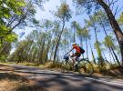 Vélo sur la piste cyclable de la Vélodyssée qui traverse les Landes