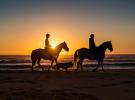 Balade à cheval dans les Landes