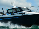 Balade en mer, à la recherche des dauphins dans les Landes avec XCAT