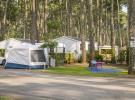 Emplacement caravaning spacieux au camping 5 étoiles Le Vieux Port à Messanges, situé au cœur d'une vaste pinède de 30 hectares près de l'océan Atlantique. Parcelle semi-ombragée avec sol naturel, offrant un accès facile aux sanitaires modernes et aux installations de confort haut de gamme. À proximité immédiate d'un grand parc aquatique avec toboggans et piscines, ainsi que d'espaces de loisirs, idéal pour les familles et amateurs de nature et de détente en bord de mer.