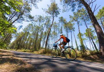 Vélo sur la piste cyclable de la Vélodyssée qui traverse les Landes