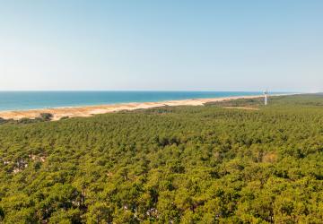 Forêt de Messanges et vue sur le littoral landais 