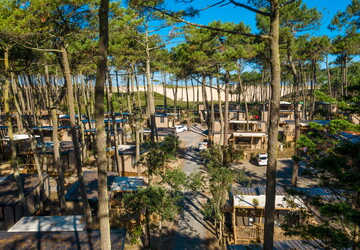 Pinède au camping 5 étoiles le Vieux Port dans les Landes 