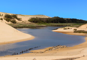 moliets-et-maâ le courant d'huchet les landes nouvelle aquitaine france embouchure amazonie landaise plage dune vegetation ciel bleu calme paisible