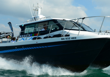 Balade en mer, à la recherche des dauphins dans les Landes avec XCAT