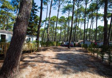 Vue panoramique des emplacements spacieux du camping Le Vieux Port à Messanges, situés au cœur d'une végétation luxuriante avec emplacement ombragé, accès facile aux sanitaires modernes, proximité de la plage de sable fin et des installations de loisirs telles que piscine chauffée et aire de jeux, parfait pour les familles et amoureux de la nature.