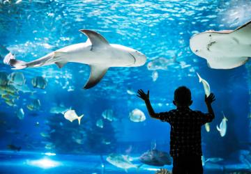 Activités à faire en cas de pluie ou de mauvais temps