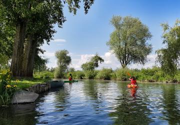 Activités à petit prix