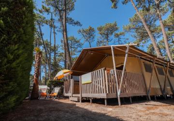 Tente Ecoluxe 8 personnes vue extérieure sous les pins au camping Le Vieux Port dans les Landes