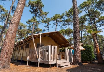 Tente Ecoluxe 4/5 personnes vue extérieure sous les pins au camping Le Vieux Port dans les Landes