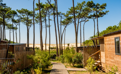 Point de vue du chemin en bois du quartier premium avec vue sur la lisière de la dune et de la pinède pour toutes les réunions pro atypiques dans un lieu magique et dépaysant