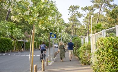 Personnes marchant le long du parc aquatique du camping Le Vieux Port dans les Landes, encadrée par une végétation luxuriante et soigneusement entretenue, comprenant palmiers et pins, dans un cadre naturel paisible en bord de mer, avec vue sur les bassins, toboggans et espaces aquatiques animés.