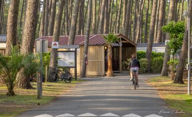 Cycliste en tenue sportive roulant à l'intérieur du camp, entouré d’une pinède dense typique des Landes, proche des dunes de sable, dans un cadre naturel préservé où la végétation de pins maritimes borde le chemin, offrant une ambiance paisible et propice à la balade à vélo en bord de mer.