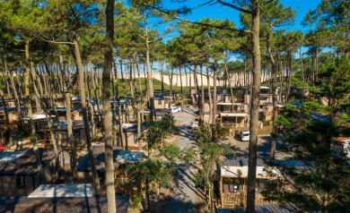Photo aérienne prise par drone d’un espace de camping arboré sous une vaste pinède, emplacements ombragés par des pins majestueux, sentiers naturels bien tracés, tentes et mobil-homes répartis au cœur de la verdure, vue dégagée sur la dune en arrière-plan, atmosphère paisible et familiale propice à la détente en pleine nature.