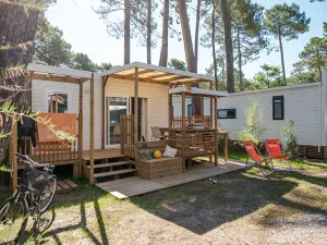 Vue ensemble Lodge Premium 2/3 personnes dans les Landes au camping Le Vieux Port