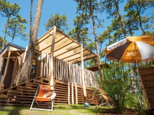 Parcelle Lodge Premium 4 personnes dans les Landes au camping Le Vieux Port