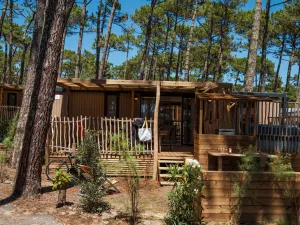Vue ensemble Lodge Premium jacuzzi 6 personnes dans les Landes au camping Le Vieux Port