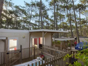 Lodge Premium Jacuzzi 2-3 pers BATICONCEPT du Vieux port dans les Landes 