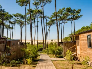 Point de vue du chemin en bois du quartier premium avec vue sur la lisière de la dune et de la pinède pour toutes les réunions pro atypiques dans un lieu magique et dépaysant