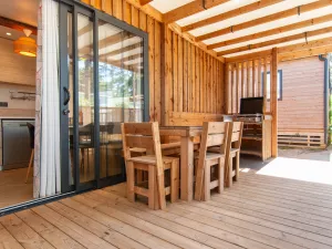 20250710 Chalet Premium Piscine 4-5 personnes (51) Extérieur plancha