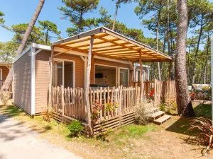 20250710 Lodge Premium dune Jacuzzi 4 pers (141) Extérieur logement entier