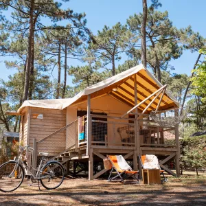 2026_Cabane sur pilotis-5