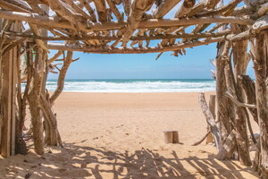 Cabane en bois flottés sur la plage des Océanides à Capbreton