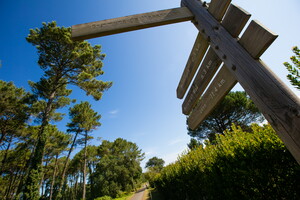 Pistes cyclables de la Vélodyssée dans la forêt landaise sur la commune de Messanges dans les Landes
