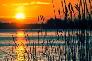 Lac landais au coucher de soleil l'été