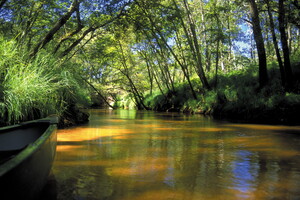 Descente du Courant d'Huchet depuis Pichelèbe avec les bateliers dans les Landes