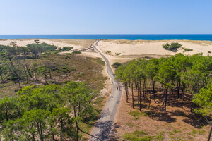 Accès direct à la plage depuis le camping 5 étoiles Le Vieux Port dans les Landes en été