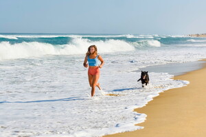 Les plages acceptant les animaux bordent notre camping Votre séjour dog-friendly labellisé QUALIDOG débarque au Vieux Port