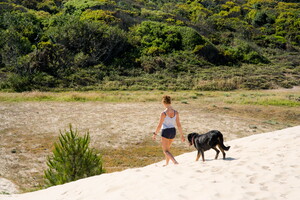 Un paradis de balades pour les amoureux des animaux Votre séjour dog-friendly labellisé QUALIDOG débarque au Vieux Port