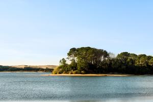 Camping dans les Landes avec un environnement exceptionnel (1) L'environnement exceptionnel du patrimoine naturel remarquable avec forêt de pins, plages océanes, étangs et zones humides