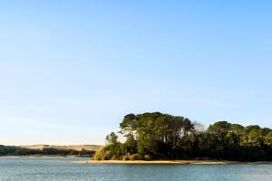 Camping dans les Landes avec un environnement exceptionnel (1) L'environnement exceptionnel du patrimoine naturel remarquable avec forêt de pins, plages océanes, étangs et zones humides