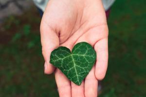 photo d'une feuille de lierre en forme de coeur dans la main d'une fille