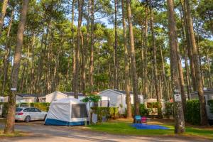 Emplacement camping car, tente et caravane dans les Landes en bord de mer pour avoir beaucoup d'espace et de zones d'ombrage dans la forêt de pins perdus et entretenus d'un standing inégalé
