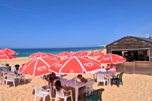 le snack de la plage avec ses chaises et tables blanches en plastique et ses parasols rouges miko pour trouver tout ce qu'il faut lors de votre pause au soleil sans trop vous éloigner de l'océan
