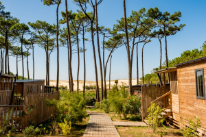 Point de vue du chemin en bois du quartier premium avec vue sur la lisière de la dune et de la pinède pour toutes les réunions pro atypiques dans un lieu magique et dépaysant