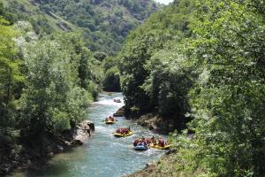 Rafting dans le Pays Basque