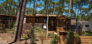 Vue ensemble Lodge Premium jacuzzi 6 personnes dans les Landes au camping Le Vieux Port