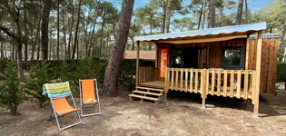 Extérieur de la cabane bois 4/5 personnes au camping Le Vieux Port à Messanges dans les Landes 