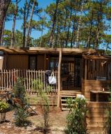 Vue ensemble Lodge Premium jacuzzi 6 personnes dans les Landes au camping Le Vieux Port