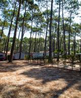 Vue ensemble Emplacement Standard 2/6 personnes dans les Landes au camping Le Vieux Port
